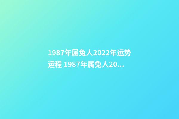 1987年属兔人2022年运势运程 1987年属兔人2022年运势好不好 1987属兔女2022年事业运 1987属兔2022年运势及运程女性-第1张-观点-玄机派